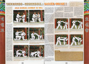 Taekwondo Hoshinsoul et Anja Kyorugui