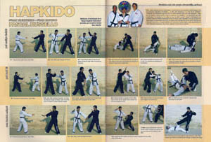 Techniques de Hapkido