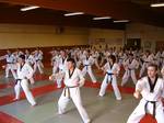 Stage avec GM Park Hae Man, créateur des poomsés