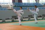 Pascal en Corée, en stage au Kukkiwon
