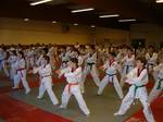 2004 - Stage avec GM Park Hae Man n4