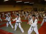 2004 - Stage avec GM Park Hae Man n27