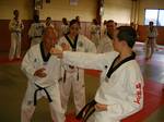 2004 - Stage avec GM Park Hae Man n58