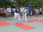 2008 - Forums des associations  n11