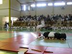 2009 - Compétition enfants à Mauguio - 3<sup>e</sup> série n8