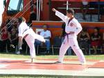 2009 - Journée des associations de Mauguio n15