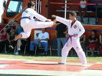 2009 - Journée des associations de Mauguio n16