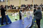 2010 - Compétition enfants à Mauguio - 2<sup>e</sup> série n46
