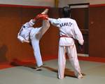 2010 - Entraînement à Mauguio - 2<sup>e </sup> série n18