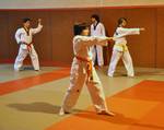 2010 - Entraînement à Mauguio - 2<sup>e </sup> série n146