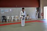 2010 - Passage de grade ados et adultes - bleues et plus n4