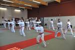 2010 - Passage de grade ados et adultes - bleues et plus n18
