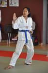 2010 - Passage de grade ados et adultes - bleues et plus n27