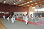 2010 - Passage de grade ados et adultes - bleues et plus n29