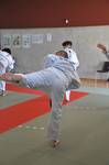 2010 - Passage de grade ados et adultes - bleues et plus n31