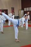 2010 - Passage de grade ados et adultes - bleues et plus n32