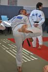 2010 - Passage de grade ados et adultes - bleues et plus n34