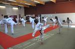 2010 - Passage de grade ados et adultes - bleues et plus n37