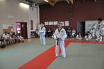 2010 - Passage de grade ados et adultes - bleues et plus n48