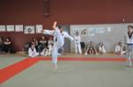 2010 - Passage de grade ados et adultes - bleues et plus n61