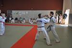 2010 - Passage de grade ados et adultes - bleues et plus n64
