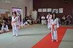 2010 - Passage de grade ados/adultes - blanches  bleues n2