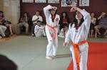 2010 - Passage de grade ados/adultes - blanches  bleues n4