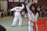 2010 - Passage de grade ados/adultes - blanches  bleues n6