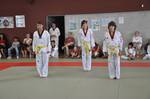 2010 - Passage de grade ados/adultes - blanches  bleues n8