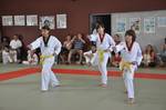 2010 - Passage de grade ados/adultes - blanches  bleues n10