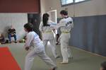 2010 - Passage de grade ados/adultes - blanches  bleues n13