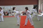 2010 - Passage de grade ados/adultes - blanches  bleues n15