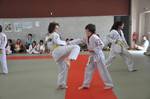 2010 - Passage de grade ados/adultes - blanches  bleues n16