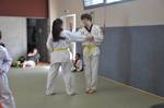 2010 - Passage de grade ados/adultes - blanches  bleues n17