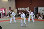 2010 - Passage de grade ados/adultes - blanches  bleues n21