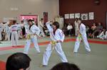 2010 - Passage de grade ados/adultes - blanches  bleues n22