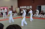 2010 - Passage de grade ados/adultes - blanches  bleues n23
