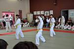 2010 - Passage de grade ados/adultes - blanches  bleues n24