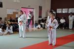 2010 - Passage de grade ados/adultes - blanches  bleues n25