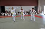2010 - Passage de grade ados/adultes - blanches  bleues n29