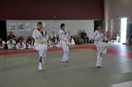 2010 - Passage de grade ados/adultes - blanches  bleues n30