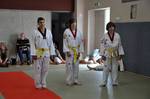 2010 - Passage de grade ados/adultes - blanches  bleues n35