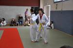 2010 - Passage de grade ados/adultes - blanches  bleues n36
