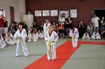 2010 - Passage de grade enfants - blanches et jaunes n35