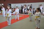 2010 - Passage de grade enfants - blanches et jaunes n87