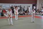 2010 - Passage de grade enfants - orange et + n10