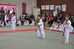 2010 - Passage de grade enfants - orange et + n36