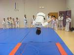 2010 - Stage de Taekwondo enfants n6