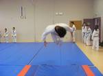 2010 - Stage de Taekwondo enfants n8
