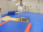 2010 - Stage de Taekwondo enfants n9